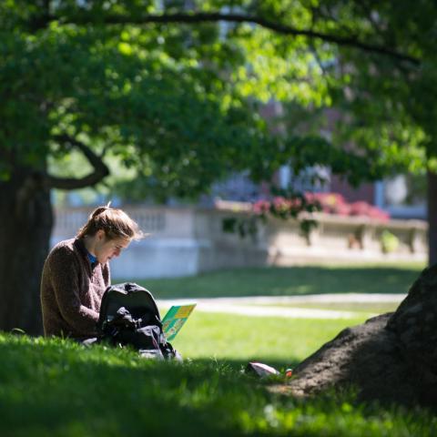 student seated outdoors on campus